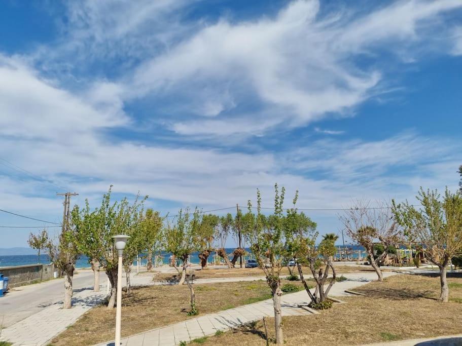 Connie'S Beach House Kos Exterior photo